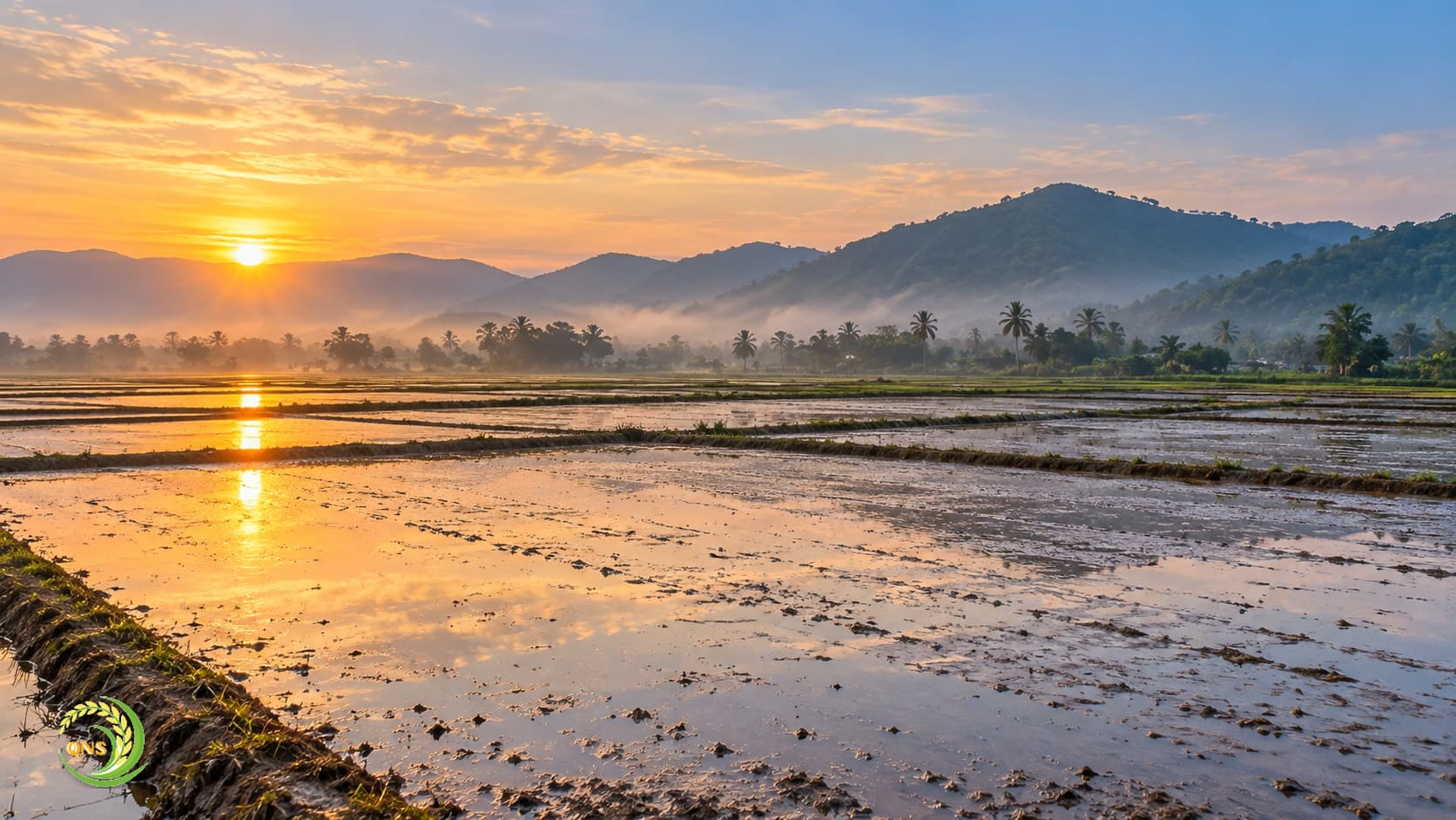 Ruộng miền Trung đã làm đất, ngập nước, sẵn sàng gieo sạ vụ Đông Xuân lúc bình minh