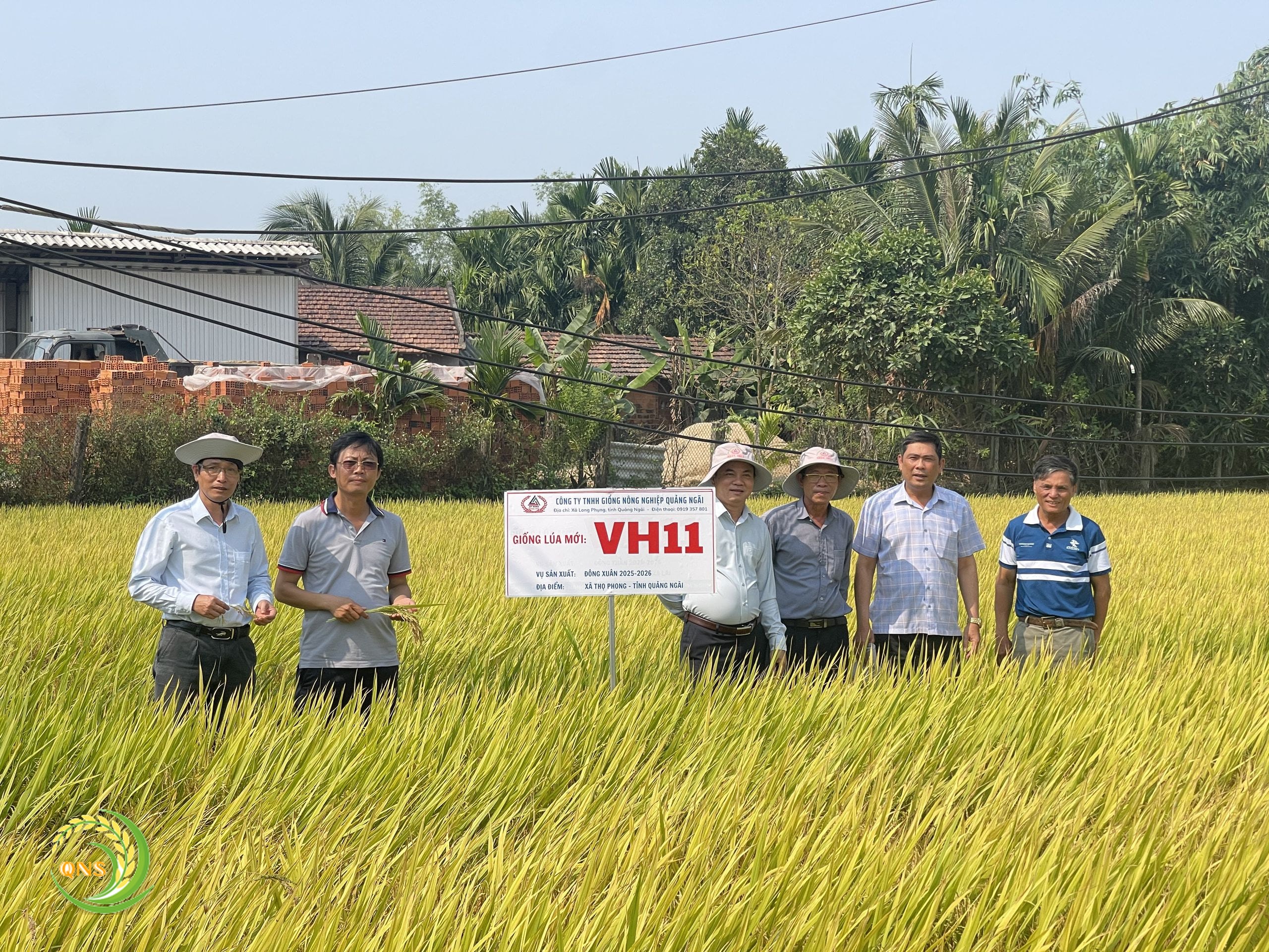 Cán bộ kỹ thuật thăm đồng ruộng lúa VH11 vụ Đông Xuân 2025–2026 tại xã Thọ Phong