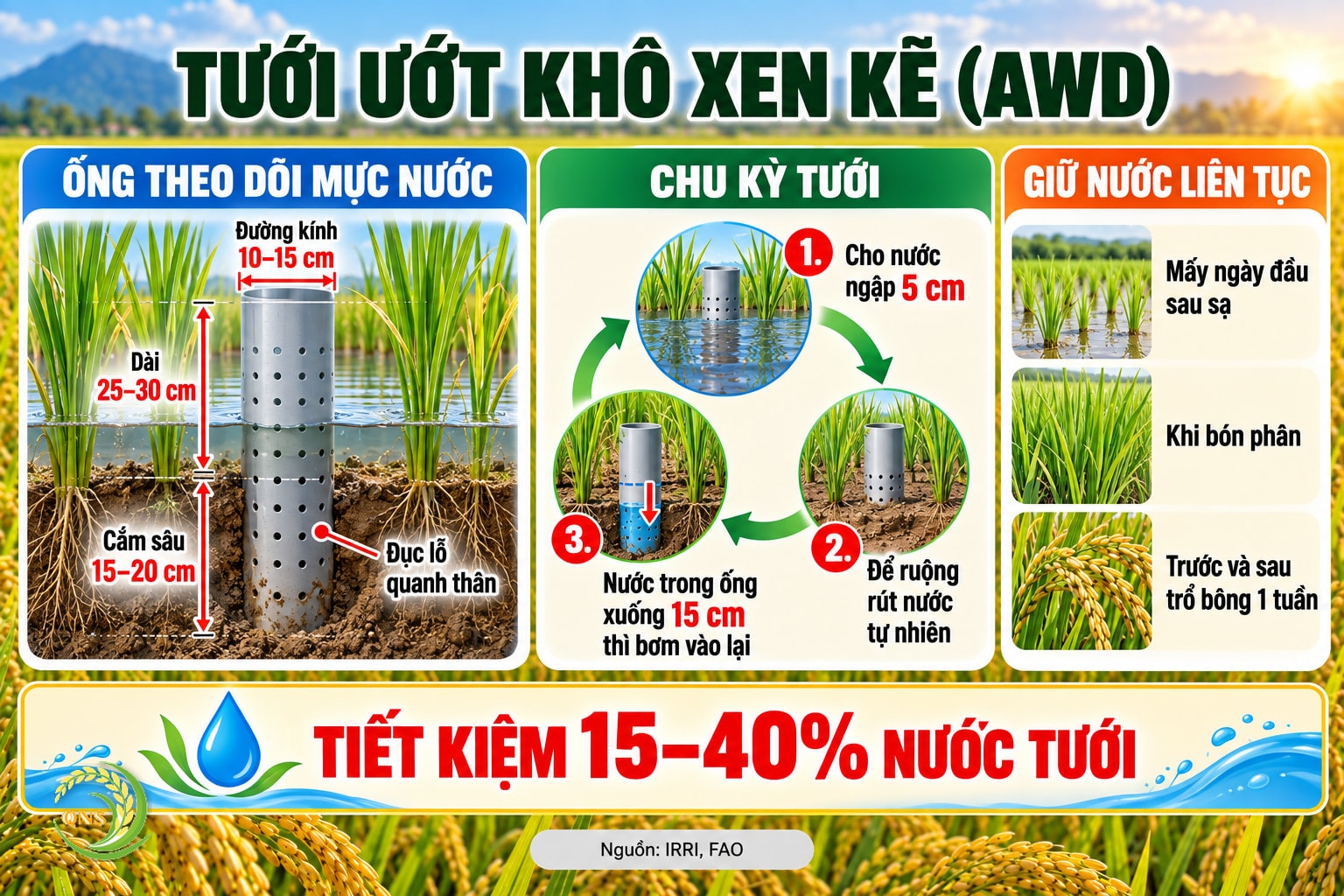 Kỹ thuật tưới ướt khô xen kẽ AWD: ống nhựa dài 25–30 cm, đường kính 10–15 cm, đục lỗ, cắm sâu 15–20 cm; khi nước trong ống rút xuống 15 cm dưới mặt ruộng thì bơm nước vào ngập khoảng 5 cm; giữ nước liên tục khi bón phân và từ trước đến sau trổ bông khoảng 1 tuần; tiết kiệm 15–40% nước tưới