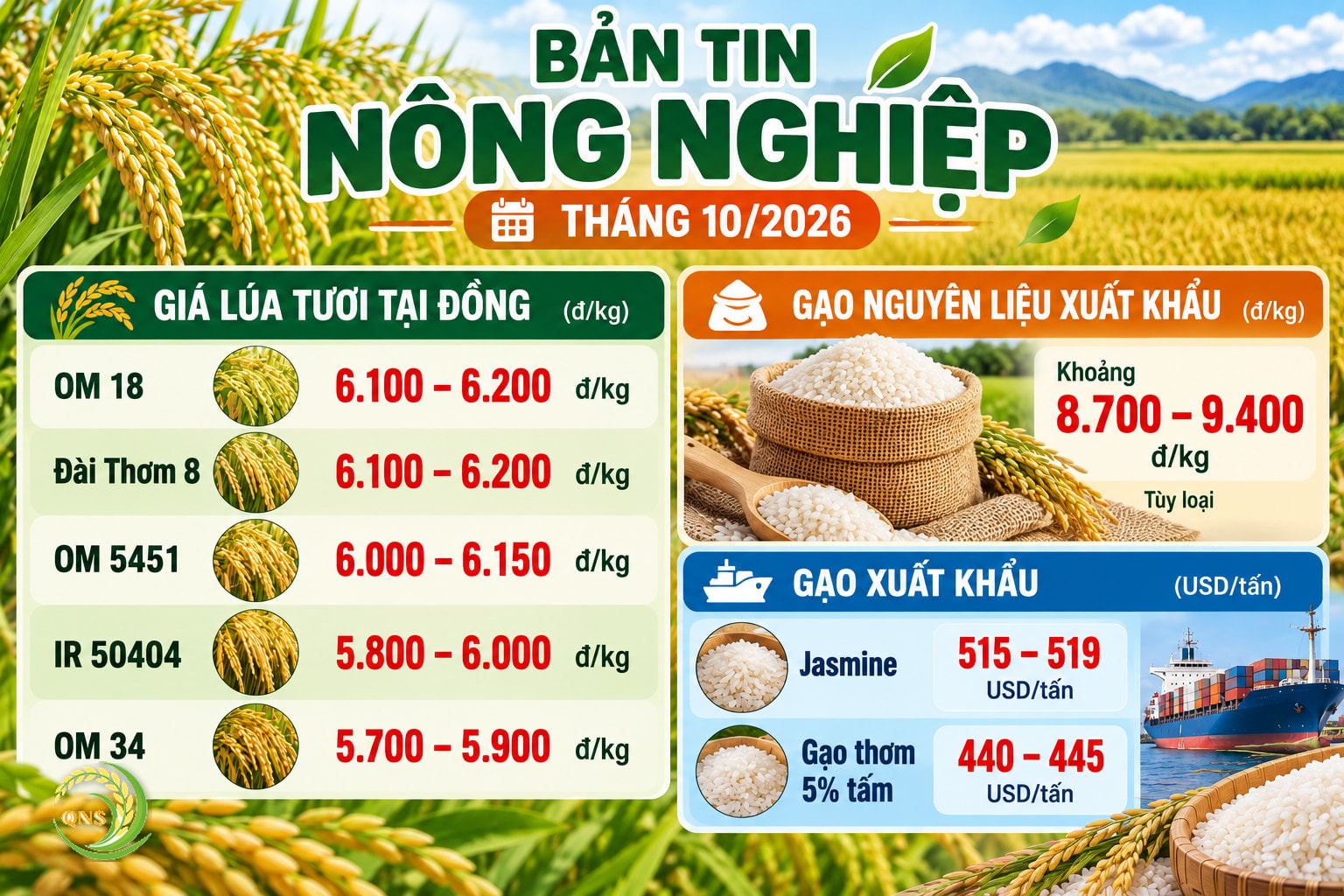 Bảng giá lúa gạo tháng 10/2026: lúa tươi OM 18 và Đài Thơm 8 6.100–6.200 đ/kg, OM 5451 6.000–6.150 đ/kg, IR 50404 5.800–6.000 đ/kg, OM 34 5.700–5.900 đ/kg; gạo nguyên liệu xuất khẩu 8.700–9.400 đ/kg; gạo Jasmine 515–519 USD/tấn, gạo thơm 5% tấm 440–445 USD/tấn