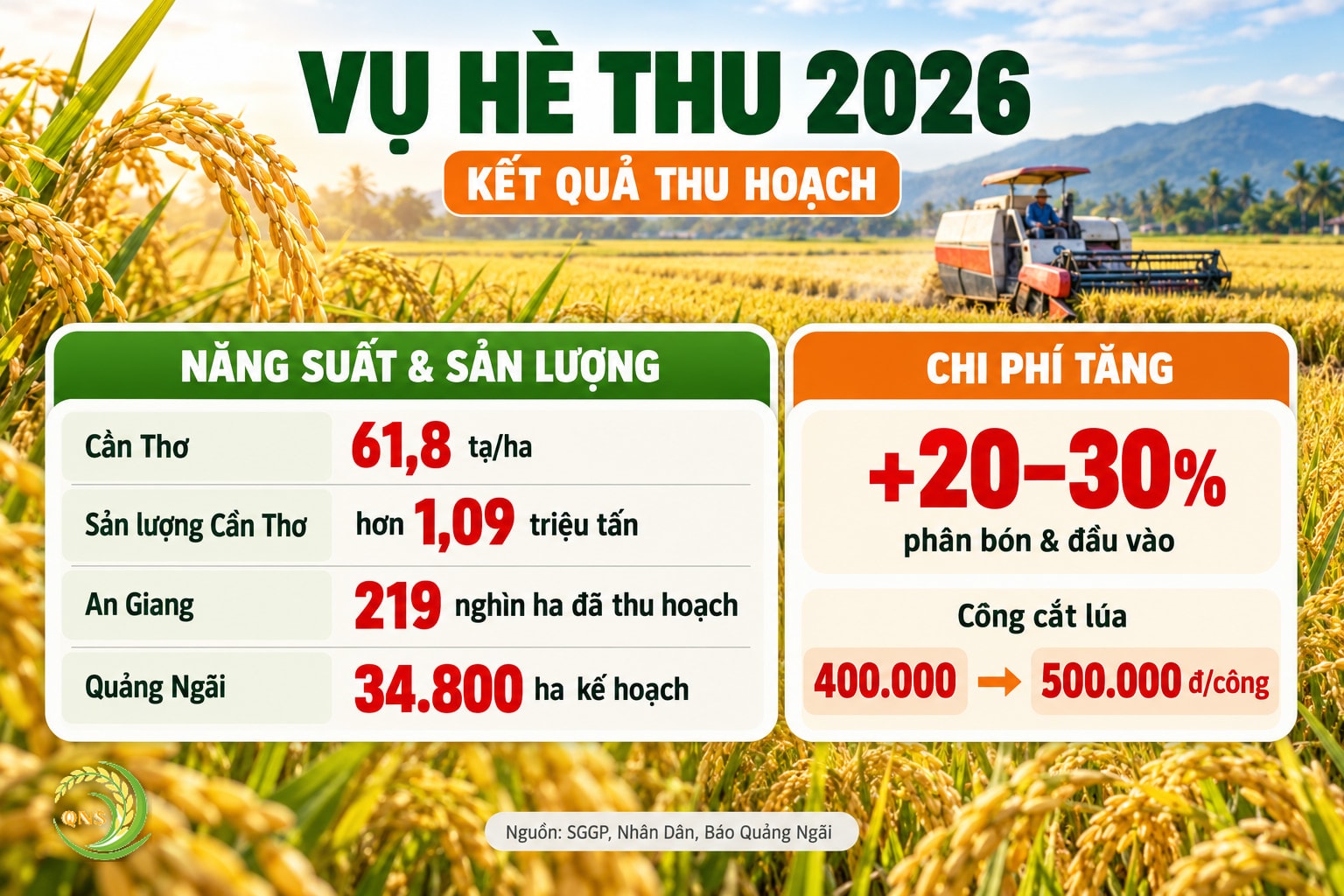 Kết quả vụ Hè Thu 2026: Cần Thơ năng suất 61,8 tạ/ha, sản lượng hơn 1,09 triệu tấn; An Giang thu hoạch 219 nghìn ha; Quảng Ngãi kế hoạch 34.800 ha; chi phí phân bón và đầu vào tăng 20–30%, công cắt lúa tăng từ 400.000 lên 500.000 đ/công