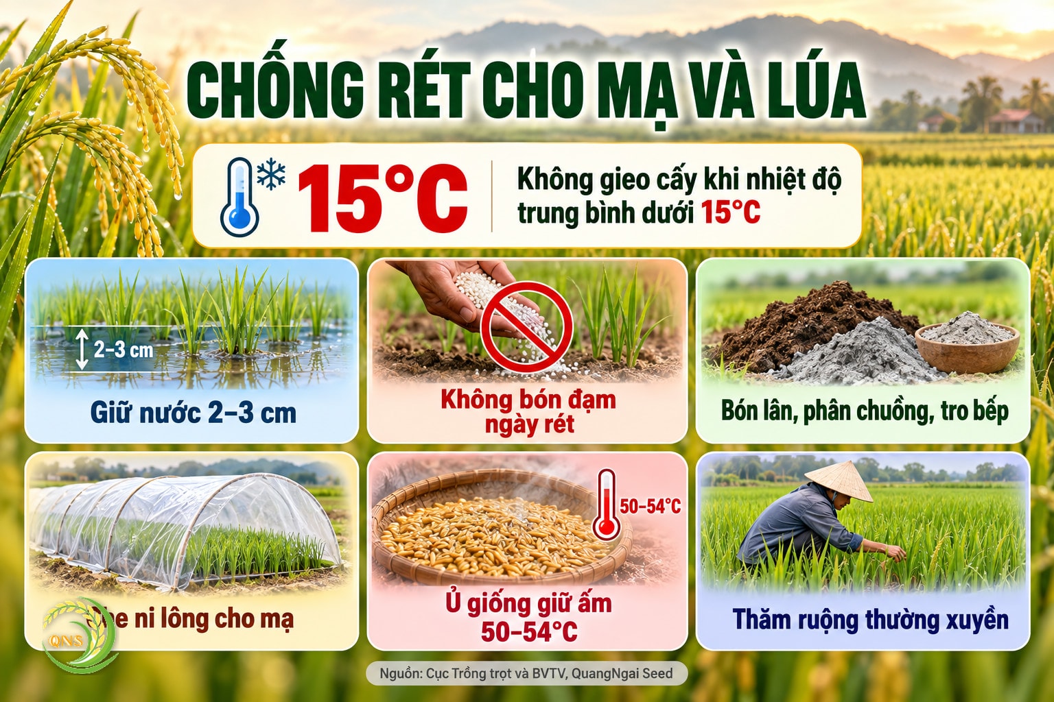 Chống rét cho lúa vụ Đông Xuân: không gieo cấy khi nhiệt độ trung bình dưới 15°C; giữ mực nước ruộng 2–3 cm; không bón phân đạm ngày rét; bón lân, phân chuồng hoai mục, tro bếp; che ni lông cho mạ; ủ giống giữ ấm 50–54°C