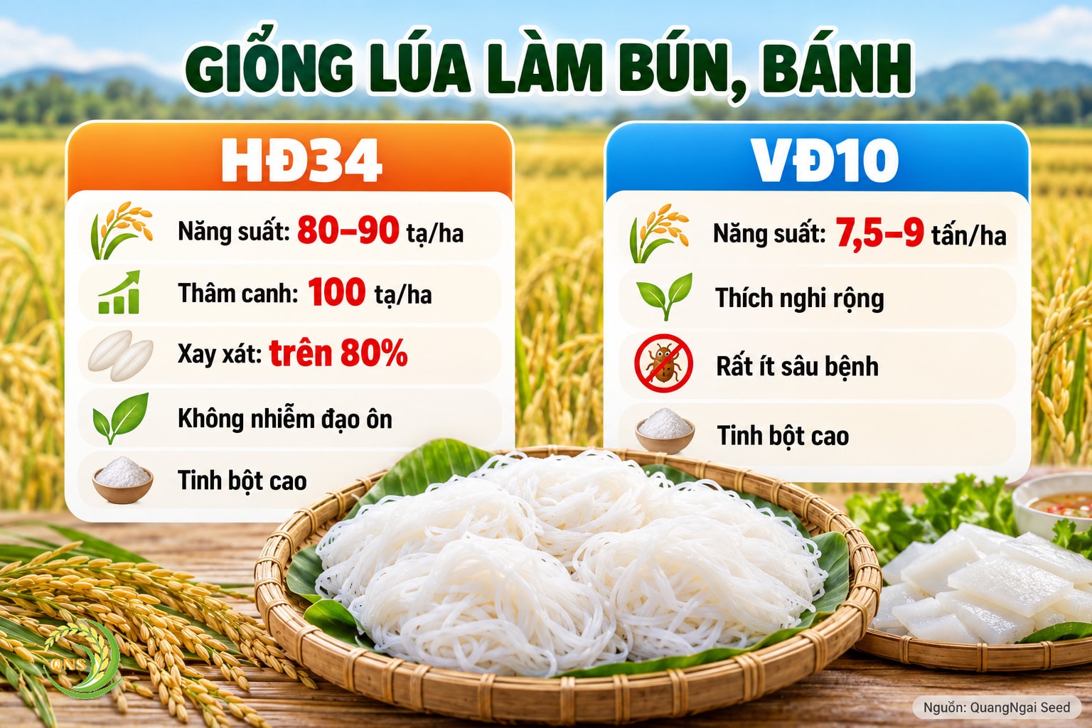 Giống lúa làm bún, bánh: HĐ34 năng suất 80–90 tạ/ha, thâm canh 100 tạ/ha, tỷ lệ xay xát trên 80%, không nhiễm đạo ôn, tinh bột cao; VĐ10 năng suất 7,5–9 tấn/ha, thích nghi rộng, rất ít sâu bệnh, tinh bột cao, rất phù hợp làm bún bánh