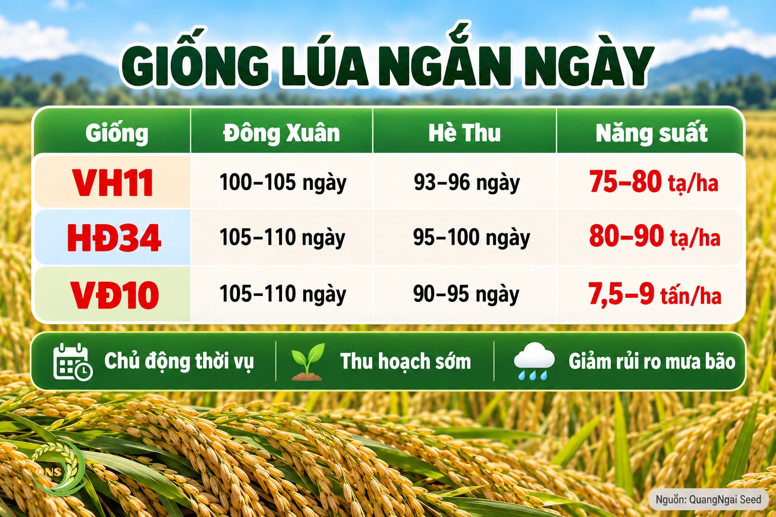 Thời gian sinh trưởng giống lúa ngắn ngày: VH11 Đông Xuân 100–105 ngày, Hè Thu 93–96 ngày, năng suất 75–80 tạ/ha; HĐ34 Đông Xuân 105–110 ngày, Hè Thu 95–100 ngày, năng suất 80–90 tạ/ha; VĐ10 Đông Xuân 105–110 ngày, Hè Thu 90–95 ngày, năng suất 7,5–9 tấn/ha