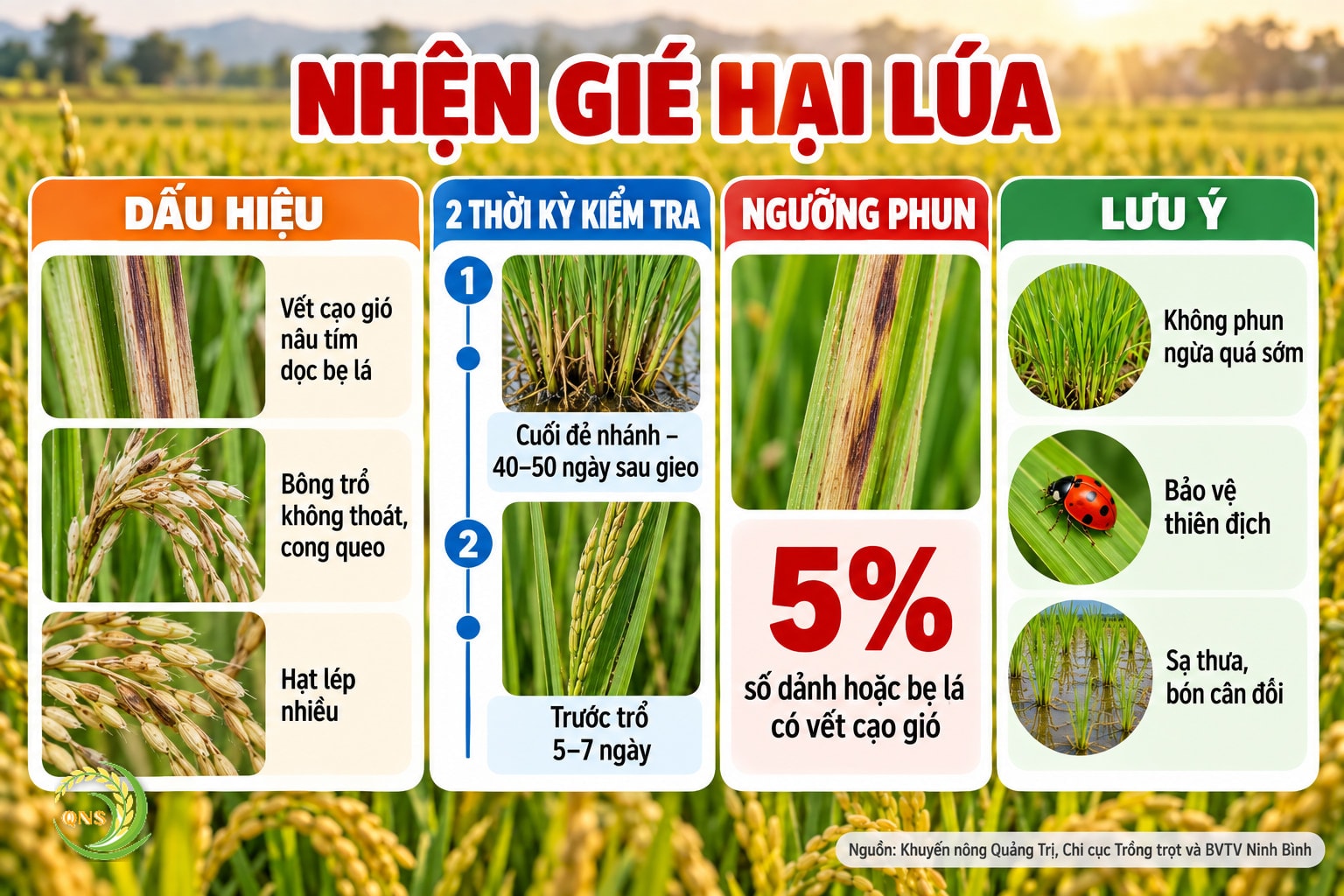 Nhện gié hại lúa: sống trong bẹ lá, gây vết cạo gió màu nâu tím dọc bẹ, bông trổ không thoát, hạt lép; kiểm tra 2 thời kỳ: cuối đẻ nhánh 40–50 ngày sau gieo và trước trổ 5–7 ngày; phun khi 5% số dảnh hoặc bẹ lá có vết cạo gió; không phun ngừa quá sớm để bảo vệ thiên địch